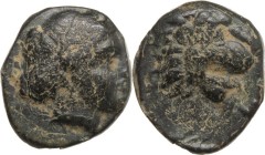 Greek Asia. Troas, Antandros. AE 9 mm, 440-400 BC. Head of Artemis Asyterne right. / Head of lion right. SNG Cop. 218. AE. 0.65 g. 9.00 mm. About VF.