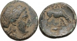 Greek Asia. Troas, Neandria. AE 20 mm, late 5th century-310 BC. Head of Apollo right, laureate. / Horse grazing right; in exergue, grain of barley. SN...