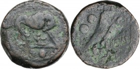 Anonymous. AE Sextans, circa 217-215 BC. She-wolf suckling twins; in exergue, two pellets. / ROMA. Eagle standing right, holding flower in beak; behin...