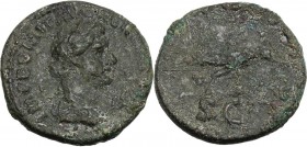 Domitian (81-96). AE Semis, 90-91 AD. I. Laureate and draped bust of Apollo right; laurel branch to right. / Raven standing right on laurel branch. RI...