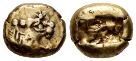 Lydia. EL Trite or 1/3 Stater. 610-546 BC. Sardes. Times of Alyattes. (C.f Weidauer-86-9). (Sng Kayhan-1013). (Sng von Aulock-2868-9). Anv.: Head of l...