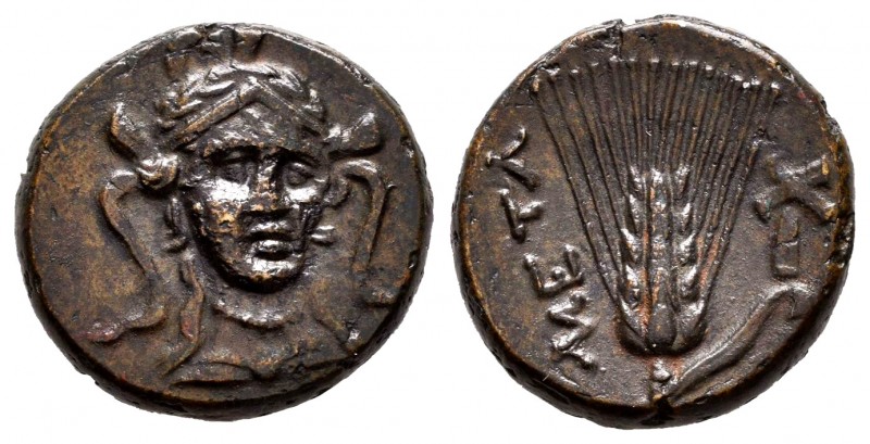 Lucania. Metapontion. AE. 300-250 BC. (Johnston Bronze 46). (HN Italy-1682). Anv...