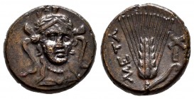 Lucania. Metapontion. AE. 300-250 BC. (Johnston Bronze 46). (HN Italy-1682). Anv.: Head or Athena facing slightly right, wearing triple-crested helmet...