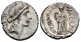 Acilius. Man. Acilius Glabrio. Denarius. 55 BC. Rome. (Ffc-96). (Craw-442). (Cal-no cita). Anv.: Laureate head of Salus right, SALVTIS upwards behind....