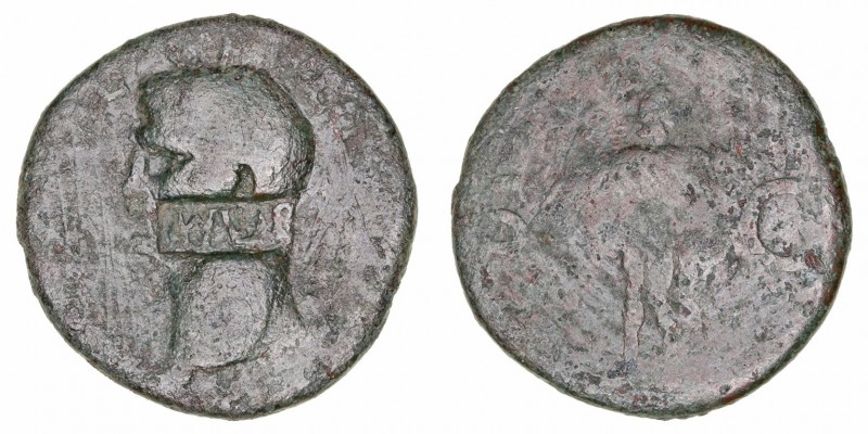 Agripa
As. AE. A/Busto de Agripa a izq., en el centro resello en cartela (TIB) ...