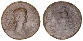 Antonia
Dupondio. AE. A/Busto a der., detrás resello en cartela NCAPR (para algunos abreviación de Nero Caesar Aprobatus y para otros Nummus Cussus A...