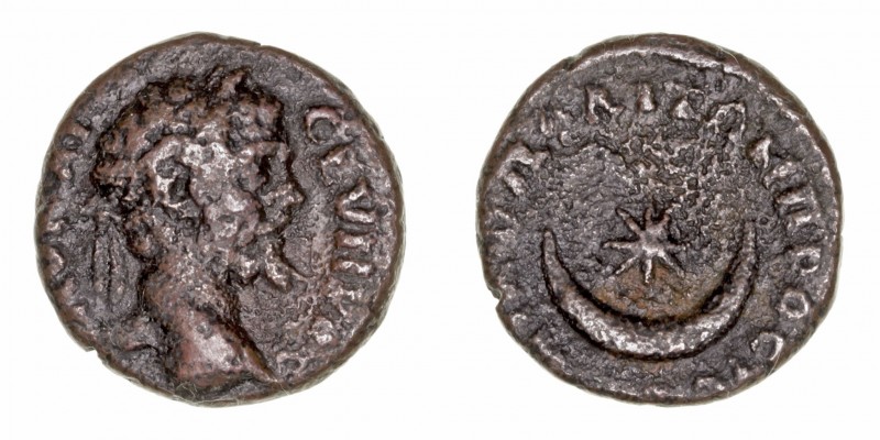 Septimio Severo
AE-15. Moesia Inferior, Nicopolis. (193-211). A/Cabeza laureada...