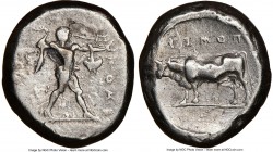 LUCANIA. Poseidonia. Ca. 470-420 BC. AR stater (19mm, 12h). NGC Choice Fine, brushed. ΠΟΣEΣ, Poseidon striding right, nude but for chlamys spread acro...