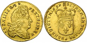 FRANCE, Royaume, Louis XIV (1643-1715), AV double louis d''or à l''écu, 1692, Metz (M couronné). Flan neuf. D/ T. à d., coiffée d''une perruque laurée...