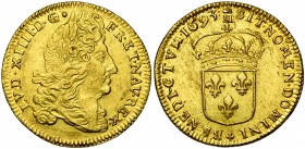 FRANCE, Royaume, Louis XIV (1643-1715), AV double louis d''or à l''écu, 1693, Metz (M couronné). Flan neuf. D/ T. à d., coiffée d''une perruque laurée...