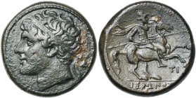 SICILE, SYRACUSE, Hiéron II (275-216), AE bronze, Syracuse. D/ T. diad. à g. A d., casque corinthien. R/ Cavalier au galop à d. En dessous, TI. A l''e...