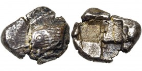 PAPHLAGONIE, SINOPE, AR drachme, 490-425 av. J.-C. D/ T. d''aigle à g. En dessous, dauphin à g. R/ Carré creux quadriparti, deux carrés granulés en re...