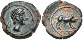 ESPAGNE, CASTULO, (Cazlona), AE quadrans, 1er s. av. J.-C. D/ T. masc. diad. à d. R/ Sanglier à d. Au-dessus, étoile. A l''ex., CaSTeLe. Alvarez Burgo...