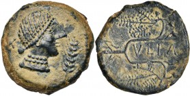 ESPAGNE, ULIA, (Montemayor), AE as, vers 50 av. J.-C. D/ T. fém. à d., un double rang de perles au cou. A g., la lettre Ta. A d., un épi. R/ VLIA ento...
