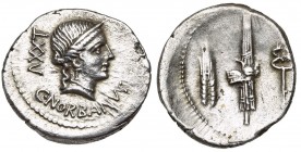 C. Norbanus, AR denier, 83 av. J.-C., Rome. D/ T. diad. de Vénus à d. En dessous, C·NORBANVS. Derrière, ^XXT. R/ Faisceau entre un épi et un caducée. ...