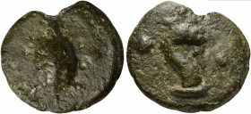 Unknown mint in Central Italy, Cast Sextans, 3rd century BC; AE (g 34; mm 37; h 12); Tortoise; in field, ° °, Rv. Head of griffin r.; in field, ° °. H...