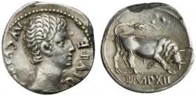 Augustus (27 BC - AD 14), Denarius, Lugdunum, 11-10 BC; AR (g 3,70; mm 19; h 9); AVGVSTVS - DIVI F, bare head r., Rv. Bull butting r.; in ex. IMP XII....