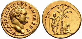 Titus, as Caesar, Aureus struck under Vespasian, Rome, AD 72-73; AV (g 7,21; mm 19; h 6); T CAES IMP VESP PON TR POT, laureate head r., Rv. Palm tree;...