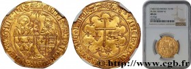 HENRY VI OF LANCASTER
Type : Salut d'or 
Date : 06/09/1423 
Date : n.d. 
Mint name / Town : Rouen 
Metal : gold 
Millesimal fineness : 1000  ‰
Diamete...