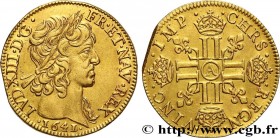 LOUIS XIII
Type : Louis d'or à la mèche courte, 1er type 
Date : 1641 
Mint name / Town : Paris, Monnaie du Louvre 
Quantity minted : 43700 
Metal : g...