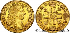 LOUIS XIV "THE SUN KING"
Type : Louis d'or juvénile à la tête nue 
Date : 1680 
Mint name / Town : Lyon 
Quantity minted : 115495 
Metal : gold 
Mille...