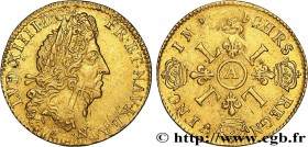 LOUIS XIV "THE SUN KING"
Type : Louis d'or aux quatre L 
Date : n.d. 
Mint name / Town : Paris 
Metal : gold 
Millesimal fineness : 917  ‰
Diameter : ...