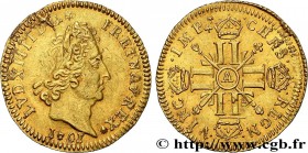 LOUIS XIV "THE SUN KING"
Type : Demi-louis aux huit L et aux insignes 
Date : 1701 
Mint name / Town : Paris 
Quantity minted : 8092 
Metal : gold 
Mi...
