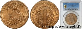 LOUIS XVI
Type : 2 sols dit "au faisceau", type FRANÇOIS 
Date : 1792 
Mint name / Town : Paris 
Metal : bell metal 
Diameter : 33  mm
Orientation die...