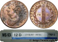 LOUIS XVI
Type : 12 deniers dit "au faisceau", type FRANCOIS 
Date : 1792 
Mint name / Town : Lyon 
Metal : copper 
Diameter : 29  mm
Orientation dies...