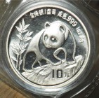 CINA - 1990 - 10 Yuan “Panda” FDC