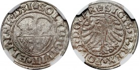 Zygmunt I Stary, szeląg 1531, Elbląg Bardzo ładnie zachowany. Reference: Kopicki 7074
Grade: NGC MS63 

Zygmunt I Stary