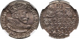 Zygmunt III Waza, trojak 1593, Malbork Piękny. Reference: Kopicki 972, Iger M.93.1
Grade: NGC MS64 

Zygmunt III Waza