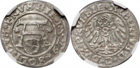 Prusy Książęce, Albert Hohenzollern, szeląg 1529, Królewiec, Legenda od dołu Bardzo rzadki typ monety z legendą rewersu zaczynająca się u dołu. Niespo...