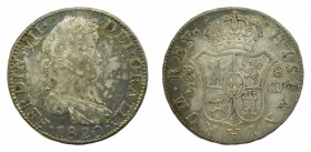 Fernando VII (1808-1833). 1820 CJ. 8 reales. Sevilla. (AC 1421). 26,81 gr. Ag. Busto laureado. Bonita pátina.
mbc+