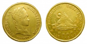 República Boliviana. 8 escudos. 1845 PTS R. Potosí. (KM#108.2). 27 gr. Au. Hojitas en anverso.
mbc