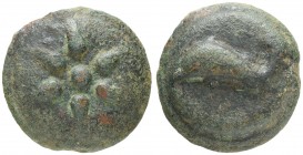 Römer Republik
Anonym Æ Quadrans 269-240 v.u.Z. Luceria Av.: sechsstrahliger Stern, Rv.: Delfin nach links, darunter kaum erkennbar drei Punkte, grün...