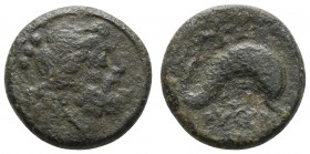 Römer Republik
Anonym Æ Teruncius 217-212 v.u.Z. Luceria Av.: Kopf des Neptun nach rechts, dahinter drei Wertkugeln, Rv.: Delfin nach rechts schwimme...