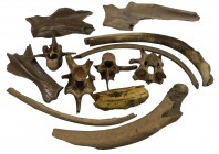 Sonstiges
 Elfenbein, Kollektion steinzeitlicher Funde mit Fragmenten von Mammutstoßzähnen und anderen Stücken, bitte besichtigen
