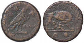 ROMANE REPUBBLICANE - ANONIME - Monete semilibrali (217-215 a.C.) - Sestante - La lupa a d. allatta Romolo e Remo; sotto, due globetti /R Aquila stant...