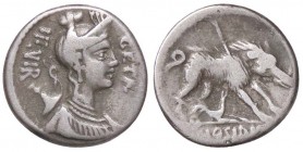 ROMANE REPUBBLICANE - HOSIDIA - C. Hosidius C. f. Geta (68 a.C.) - Denario - Busto di Diana a d. con arco e faretra /R Il cinghiale di Calidonia a d. ...