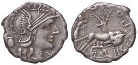 ROMANE REPUBBLICANE - POMPEIA - Sex. Pompeius Fostlus (137 a.C.) - Denario - Testa di Roma a d.; dietro, vaso per il latte /R La lupa allatta Romolo e...