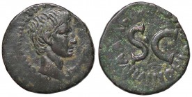 ROMANE IMPERIALI - Augusto (27 a.C.-14 d.C.) - Asse - Testa a d. /R SC entro scritta circolare C. 515; RIC 431 (AE g. 12,39)
BB