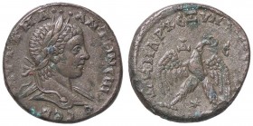 ROMANE PROVINCIALI - Elagabalo (218-222) - Tetradracma (Antiochia) - Testa laureata a d. /R Aquila stante con testa a s. e corona nel becco; fra le za...