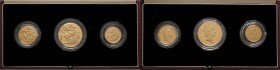 ESTERE - GRAN BRETAGNA - Elisabetta II (1952) - Serie 1987 Kr. PS53 (AU g. 27,93)3 monete In confezione
FS