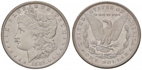 ESTERE - U.S.A. - Dollaro 1891 - Morgan Kr. 110 AG
qFDC