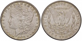 ESTERE - U.S.A. - Dollaro 1901 O - Morgan Kr. 110 AG Segnetto al ciglio
qFDC/FDC