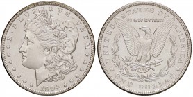 ESTERE - U.S.A. - Dollaro 1904 - Morgan Kr. 110 AG
qFDC