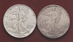 ESTERE - U.S.A. - Dollaro 1987 e 1988 - American Eagle Kr. 273 AG Lotto di 2 monete
FDC