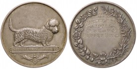 MEDAGLIE ESTERE - GRAN BRETAGNA - Giorgio V (1910-1936) - Medaglia 1911 - Premio concorso cani MB Ø 51
SPL