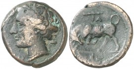 (275-265 a.C.). Sicilia. Siracusa. AE 20. (S. 1218 var) (CNG. II, 1469). 6,26 g. Acuñada bajo Hierón II. MBC-.
